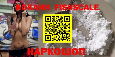 бошки Кингисепп