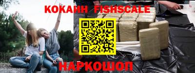 бошки Кингисепп
