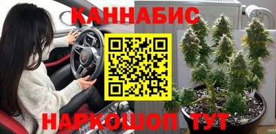 спиды Кинель