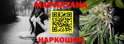 бошки Кингисепп
