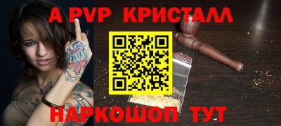 бошки Кингисепп
