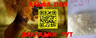 бошки Кингисепп