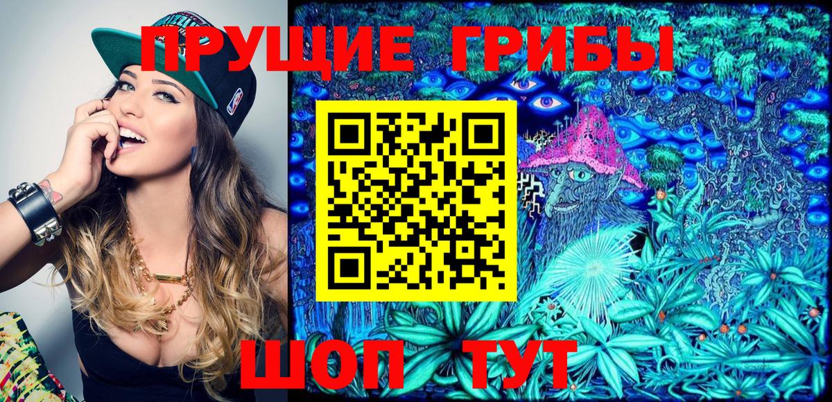 Галлюциногенные грибы MAGIC MUSHROOMS  Вход с VPN  Бутурлиновка 