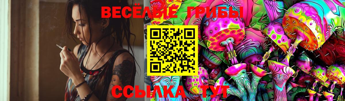 Псилоцибиновые грибы ЛСД Бутурлиновка