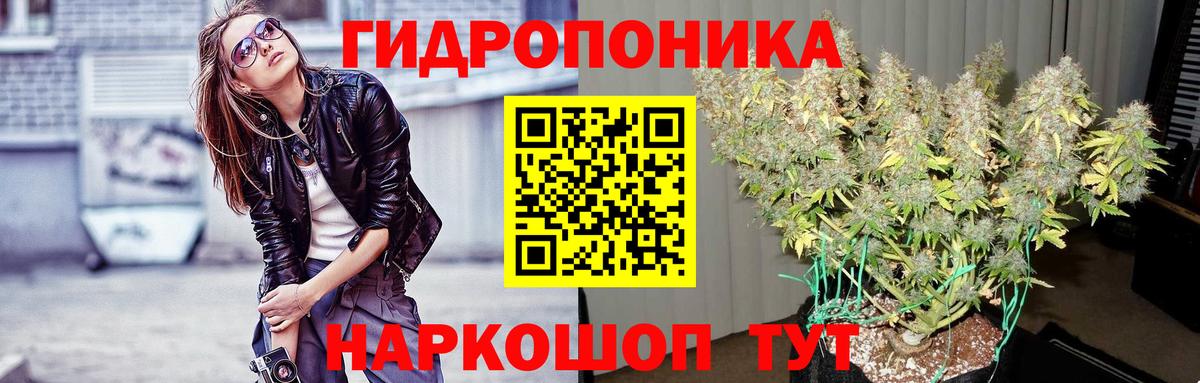 Бутурлиновка  Каннабис White Widow  Бошки Шишки LSD WEED  Шишки марихуана планчик  МАРИХУАНА конопля  Вход с VPN 